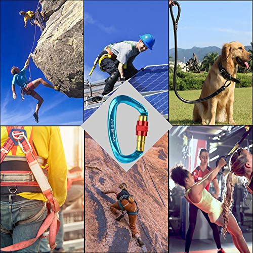 XINDA Professional Screw Lock Carabiner Clips for Climbing