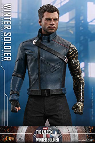 The Falcon & The Winter Soldier 1/6 Figure