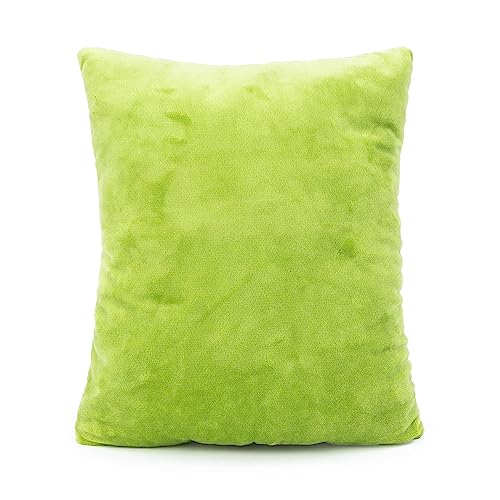 Jay Franco Marvel Spidey & His Amazing Friends Hulk 3D Snuggle Plush Pillow - Super Soft Green Avengers Pillow - Measures 15 Inches