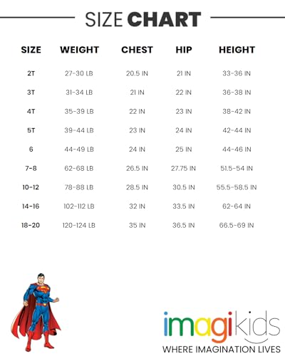 DC Comics Justice League Superman Little Boys Fleece Pullover Hoodie & Pants Set Blue 6