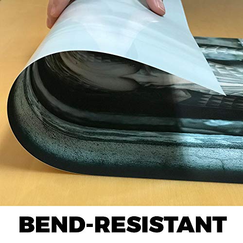 MIGHTYPRINT DC Comics - Bombshell Poison Ivy - Justice League - Durable 17” x 24 Wall Art – NOT Made of Paper – Officially Licensed Collectible