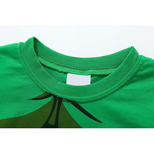 N‘aix Little Boys Super hero Pajama Sets Cotton Sleepwear 2-7T (Hulk-Y4, 5T)