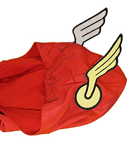 DC Comics Toddler/Little Boys Jersey Lined Windbreaker Jacket (6, Flash)