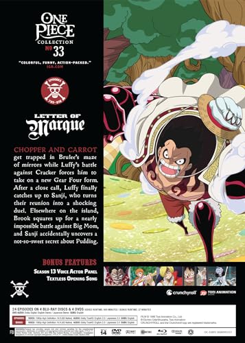 One Piece: Collection 33 - Blu-ray + DVD