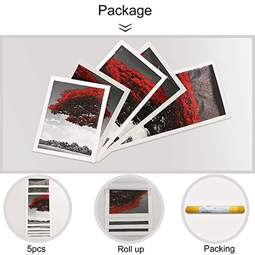 Anime Poster Roronoa Zoro Poster Print on Canvas Painting Wall Art for Living Room Decor Boy Gift (Unframed, Q-Zoro 2)