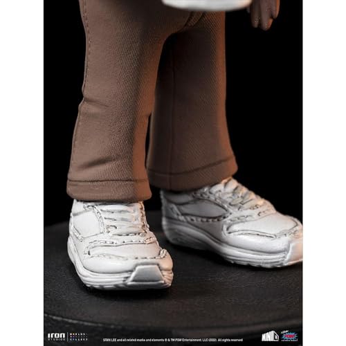 Iron Studios Stan Lee 5.5" Mini Co. PVC Stan Lee with Grumpy Cat Figure