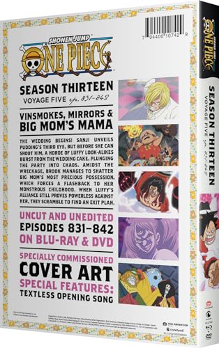 One Piece: Season Thirteen - Voyage Five - Blu-ray + DVD