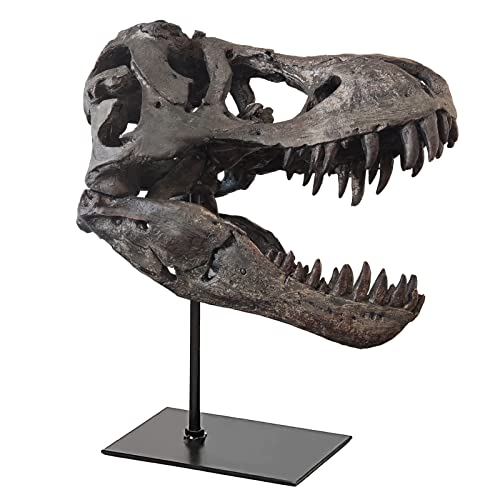pombconw T-Rex Skull Statue Home Office Desktop Shelf Decor Dinosaur Head Sculptures Tyrannosaurus Skeleton Resin Replica Model, Figurines Decorative Ornaments for Living Room Bedroom Bookshelf