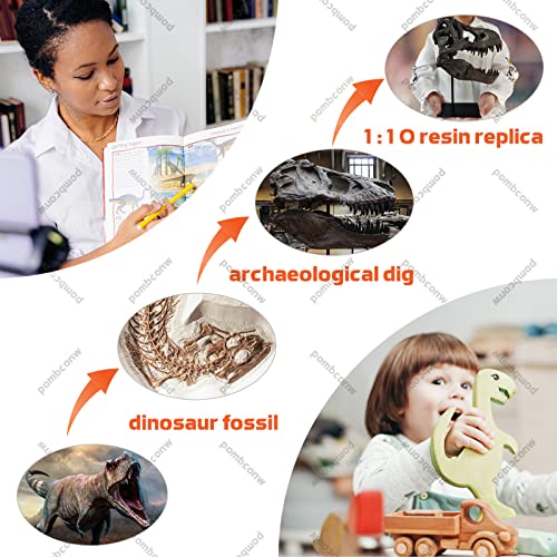 pombconw T-Rex Skull Statue Home Office Desktop Shelf Decor Dinosaur Head Sculptures Tyrannosaurus Skeleton Resin Replica Model, Figurines Decorative Ornaments for Living Room Bedroom Bookshelf