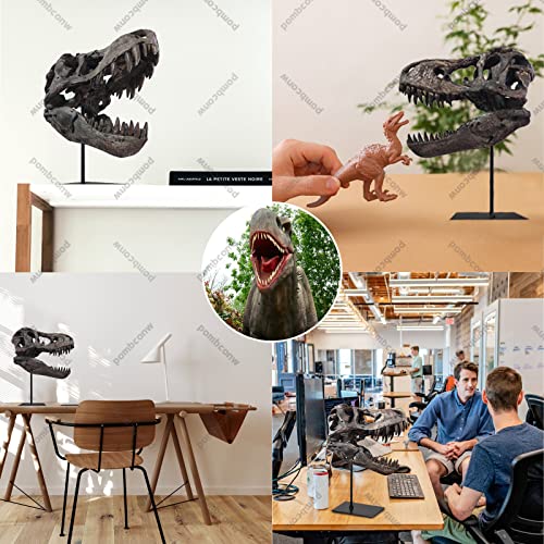 pombconw T-Rex Skull Statue Home Office Desktop Shelf Decor Dinosaur Head Sculptures Tyrannosaurus Skeleton Resin Replica Model, Figurines Decorative Ornaments for Living Room Bedroom Bookshelf