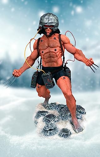 Marvel Gallery: Weapon X PVC Figure, Multicolor