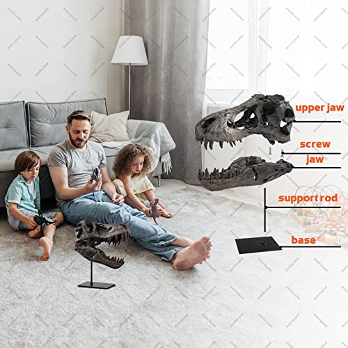 pombconw T-Rex Skull Statue Home Office Desktop Shelf Decor Dinosaur Head Sculptures Tyrannosaurus Skeleton Resin Replica Model, Figurines Decorative Ornaments for Living Room Bedroom Bookshelf