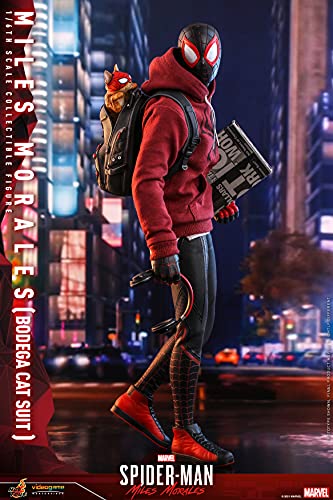 Hot Toys 1:6 Miles Morales - Bodega Cat Suit, Black
