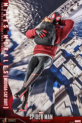 Hot Toys 1:6 Miles Morales - Bodega Cat Suit, Black