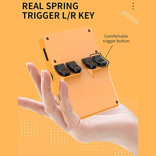 Petforu Powkiddy RGB20S Handheld Retro Game Console with Built-in Games (64G 15000 Games White)