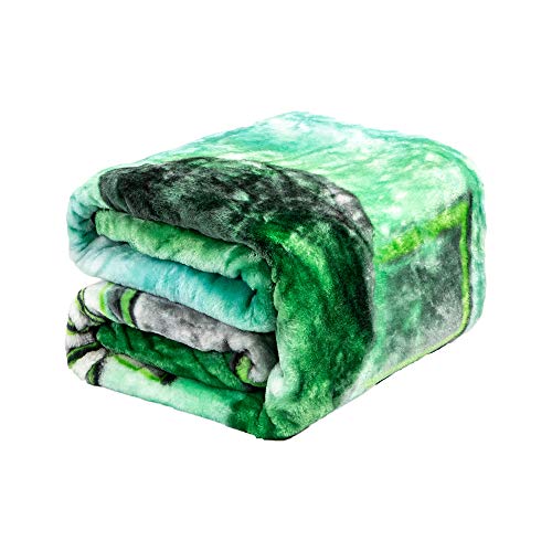 Plush Throw Blanket - Green Lantern - Twin Bed 60"x 80" - Faux Fur Blanket for Beds, Sofa, Couch, Picnic, Camping