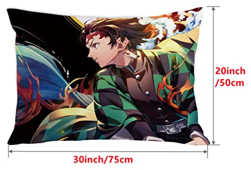 Torys 2Pcs Anime Demon Slayer Pillow Case Nezuko Tanjiro Pillow Covers Set Body Pillowcase for Sofa Bedroom Home Decorative 20x30 (20x30 Inch, C), B-03