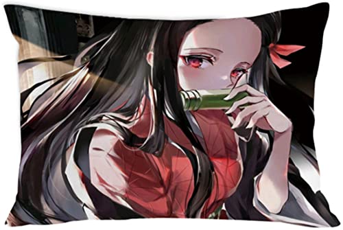 Torys 2Pcs Anime Demon Slayer Pillow Case Nezuko Tanjiro Pillow Covers Set Body Pillowcase for Sofa Bedroom Home Decorative 20x30 (20x30 Inch, C), B-03