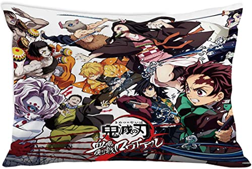 Torys 2Pcs Anime Demon Slayer Throw Pillowcase Nezuko Tanjiro Zenitsu Inosuke Soft Pillowcase Cushion Cover for Sofa Bedroom Home Decorative 20x30 (20x30 Inch, A), B-03