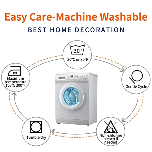 Xuziuik Anime Pack of 2 Pillowcases Double-Sided Printing. Throw Pillow Covers Cushion Cover for Sofa Couch 18"X18".