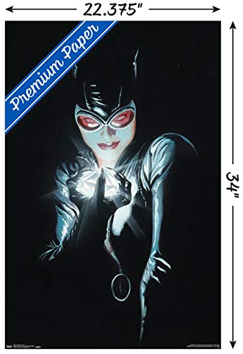 Trends International DC Comics - Catwoman - Portrait Wall Poster, 22.375" x 34", Premium Unframed Version