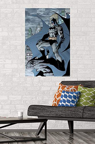 Trends International Batman Cape Wall Poster 22.375" x 34"