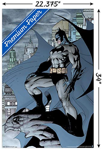 Trends International Batman Cape Wall Poster 22.375" x 34"
