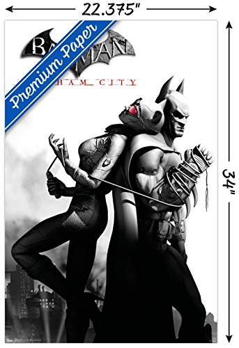 Trends International DC Comics VIdeo Game - Arkham City - Catwoman Wall Poster, 22.375" x 34", Premium Unframed Version