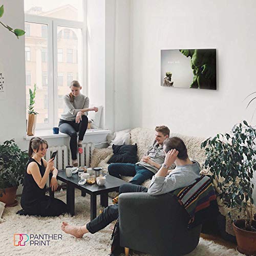 Panther Print, Canvas Wall Art, Yoda and the Hulk Comic Book Movie, Avengers Superhero Picture Prints, Print for Special Occasions (76x51cm)