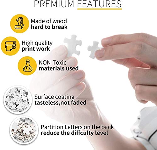 Demon Slayer Jigsaw Puzzle 1000 Piece Art for Teens Adults and Families Challenging Color Scale Brain Intelligence Games Gifts