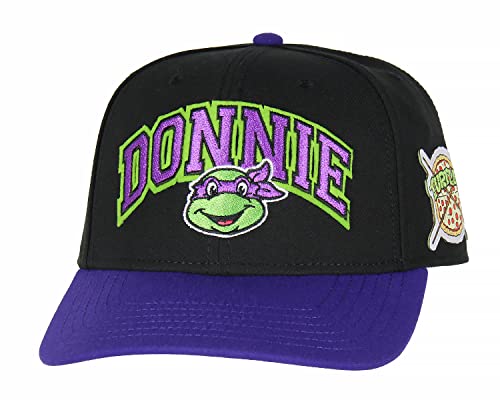 Nickelodeon Mens' Teenage Mutant Ninja Turtles Donatello Embroidered Classic Precurve Snapback Hat (OSFM, Donnie) Black/Purple
