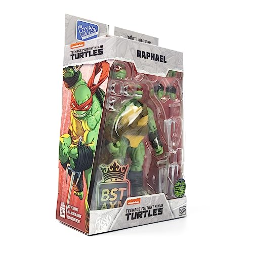 Teenage Mutant Ninja Turtles BST AXN Raphael IDW Inspired Comic Heroes 5-inch Action Figure
