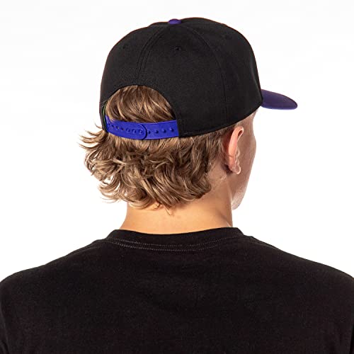 Nickelodeon Mens' Teenage Mutant Ninja Turtles Donatello Embroidered Classic Precurve Snapback Hat (OSFM, Donnie) Black/Purple