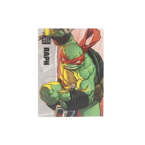 Teenage Mutant Ninja Turtles BST AXN Raphael IDW Inspired Comic Heroes 5-inch Action Figure