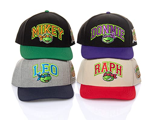 Nickelodeon Mens' Teenage Mutant Ninja Turtles Donatello Embroidered Classic Precurve Snapback Hat (OSFM, Donnie) Black/Purple