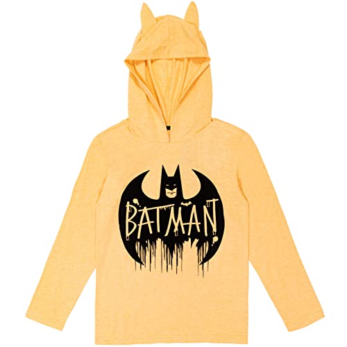 DC Comics Justice League Batman Little Boys Pullover Hoodie Pants Black/brown 6