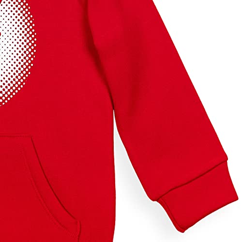 DC Comics Justice League The Flash Toddler Boys Fleece Pullover Hoodie Awesome Red 2T