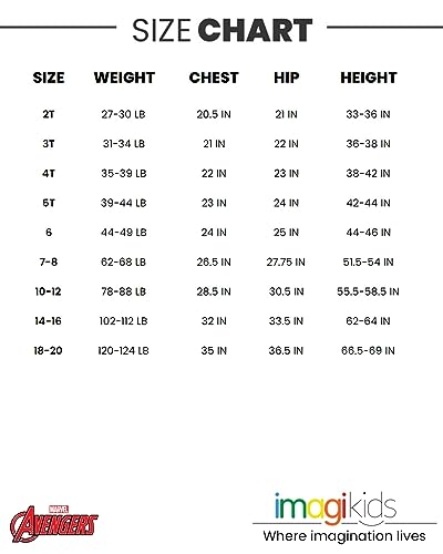 Marvel Comics Big Boys Fleece Pullover Hoodie Iconic Logo White 18-20