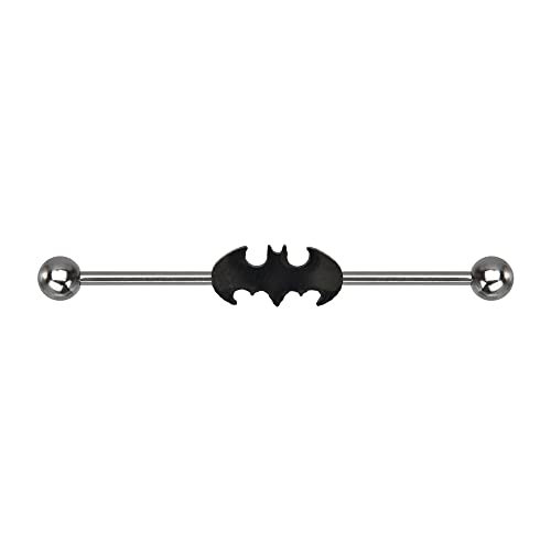 DC Comics Batman Stainless Steel Industrial Barbell, Officially Licensed