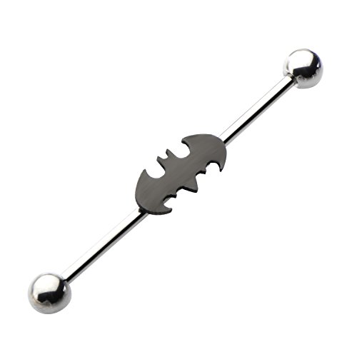 DC Comics Batman Stainless Steel Industrial Barbell, Officially Licensed