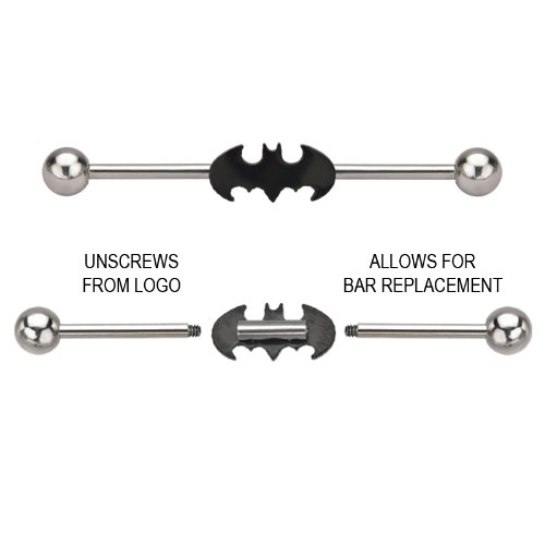 DC Comics Batman Stainless Steel Industrial Barbell, Officially Licensed