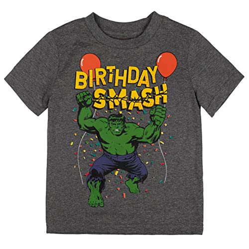 Avengers Hulk Birthday Toddler Boys T-Shirt - Size 4T