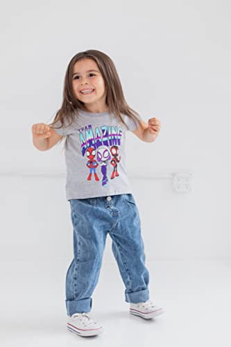 Spider-Man & Friends Girls 2-Pack Tees Grey/Purple Size 6
