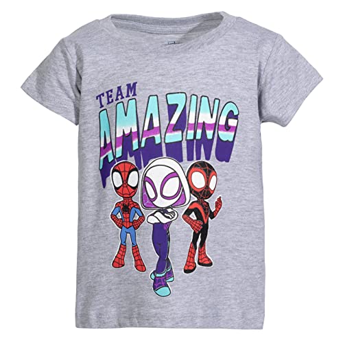 Spider-Man & Friends Girls 2-Pack Tees Grey/Purple Size 6