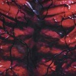 Hero Cosplay Bodysuit with Mask for Kids