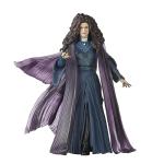 Marvel Legends Agatha Harkness Action Figure