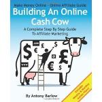 Affiliate Marketing Guide: Your Step-By-Step Blueprint