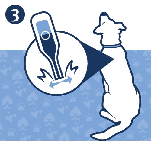 Small Dog Flea & Tick Prevention, 3 Months