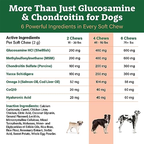Premium Dog Joint Supplement with 120 Chews