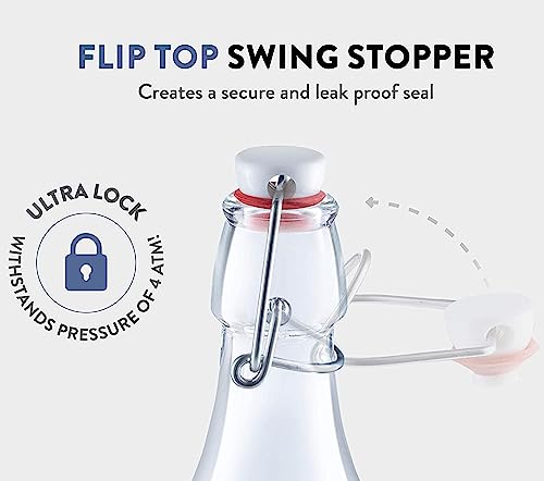 Italian Bormioli Rocco Pocket Flask, 8.5 oz, Clear